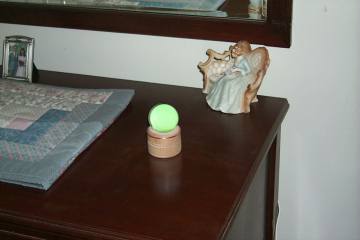 greenglobe.jpg (9929 bytes)