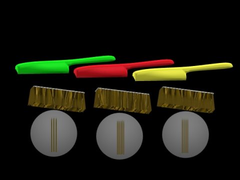 brushset.jpg (15357 bytes)